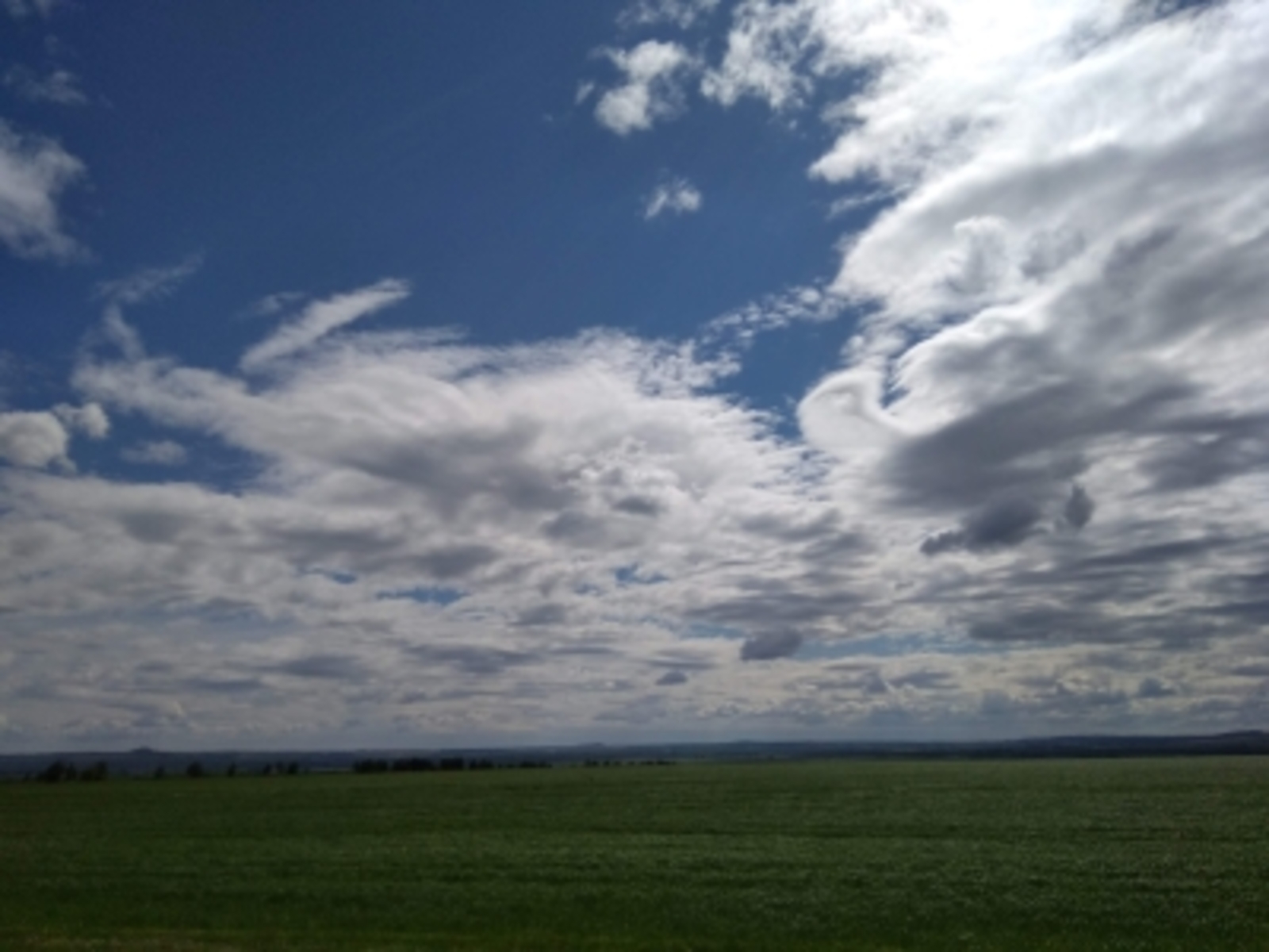 Тынғылыҡ тапмаған йән