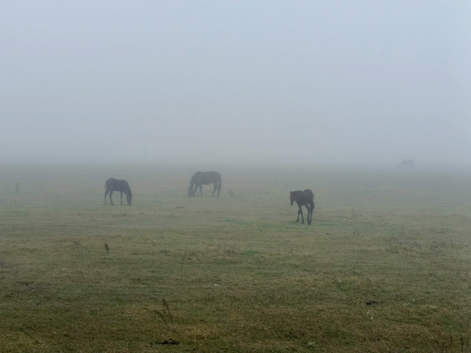 Һин бит беҙҙең һөйөүгә хыянат иттең...