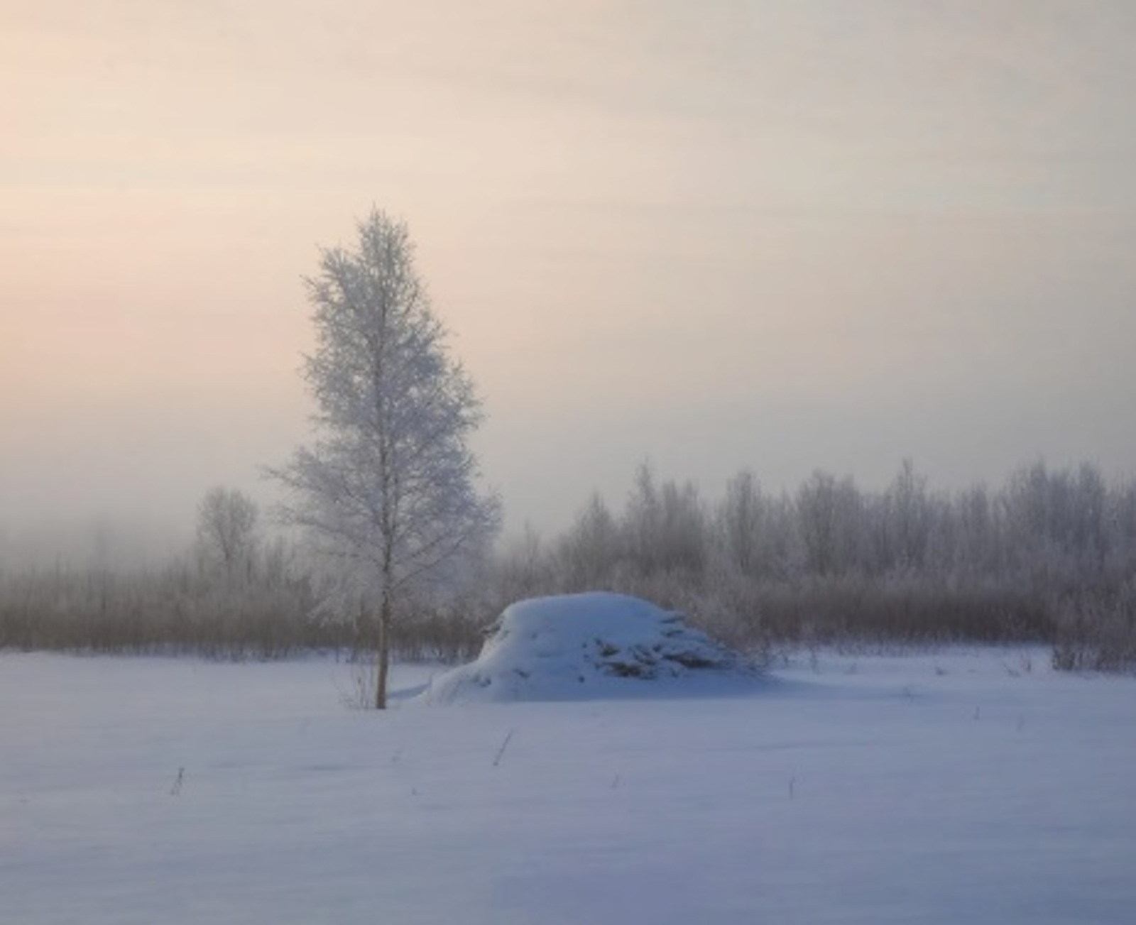 Яңы йылды эҫкерт эсендә ҡаршылағандар