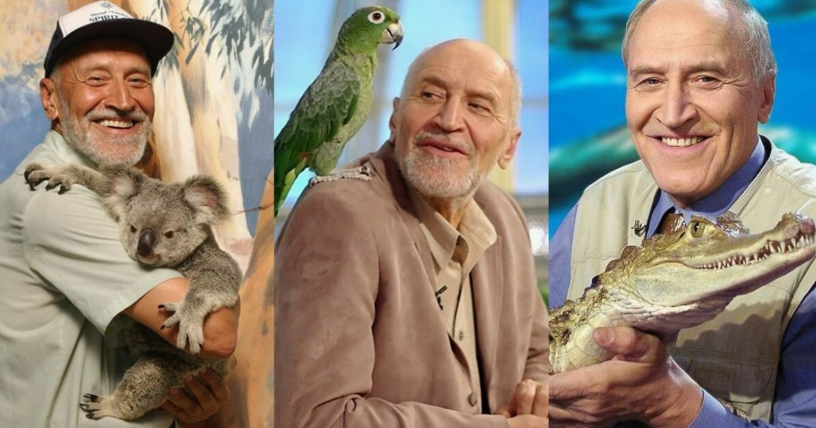 Дроздов бабайыбыҙ ҡайҙа юғалды?