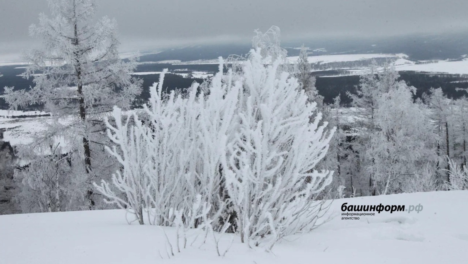 Һыуытып аласаҡ