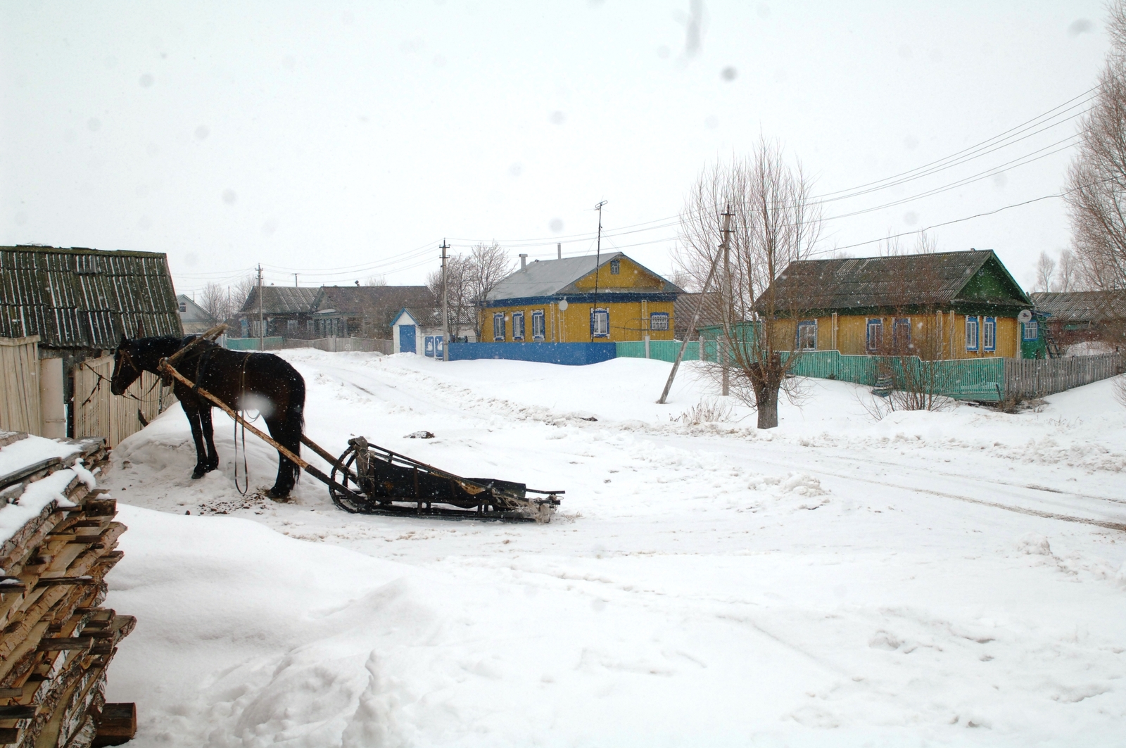 «Жигули, маһ-маһ...»