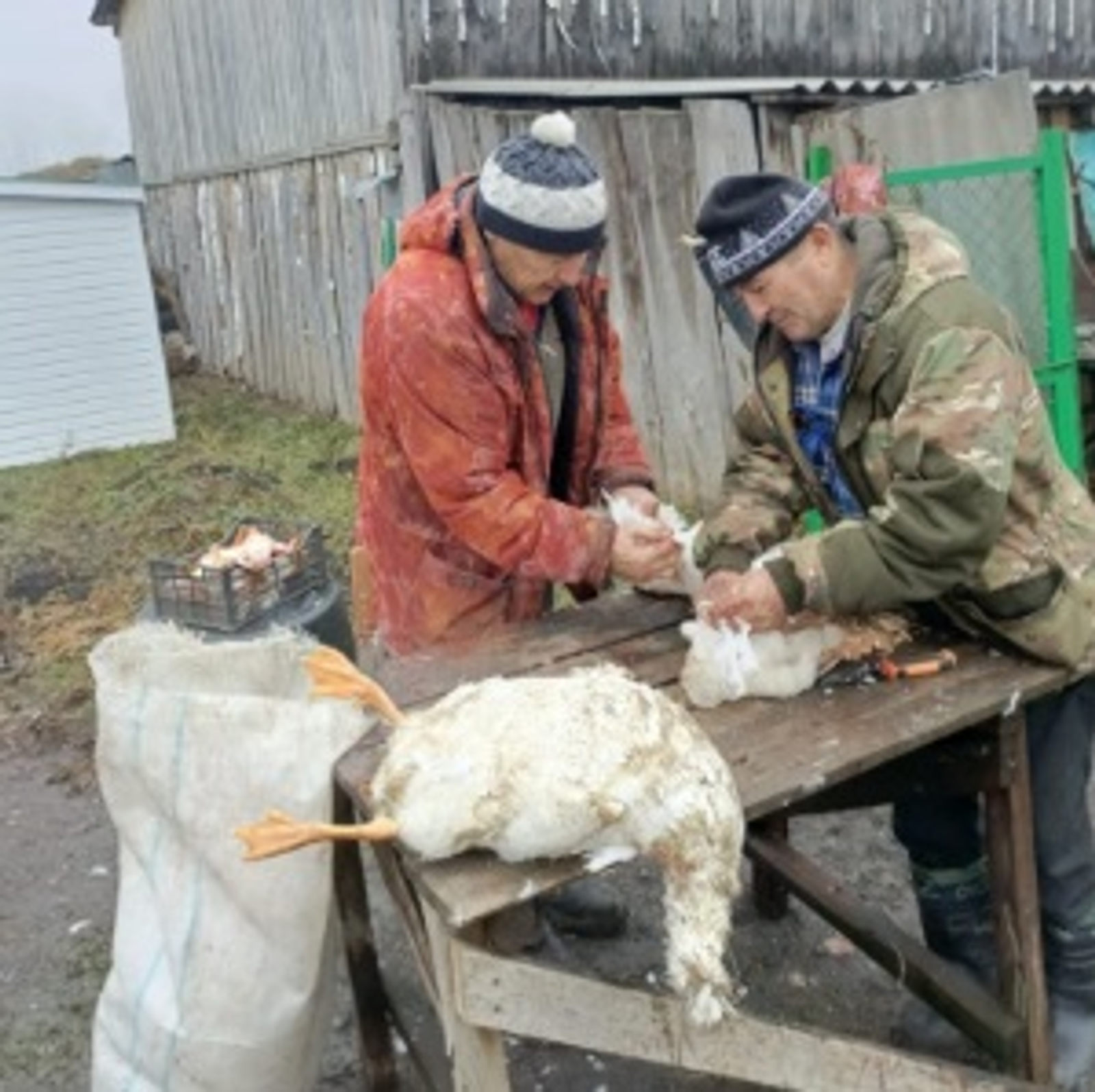 Ауылда йәшәү арзан