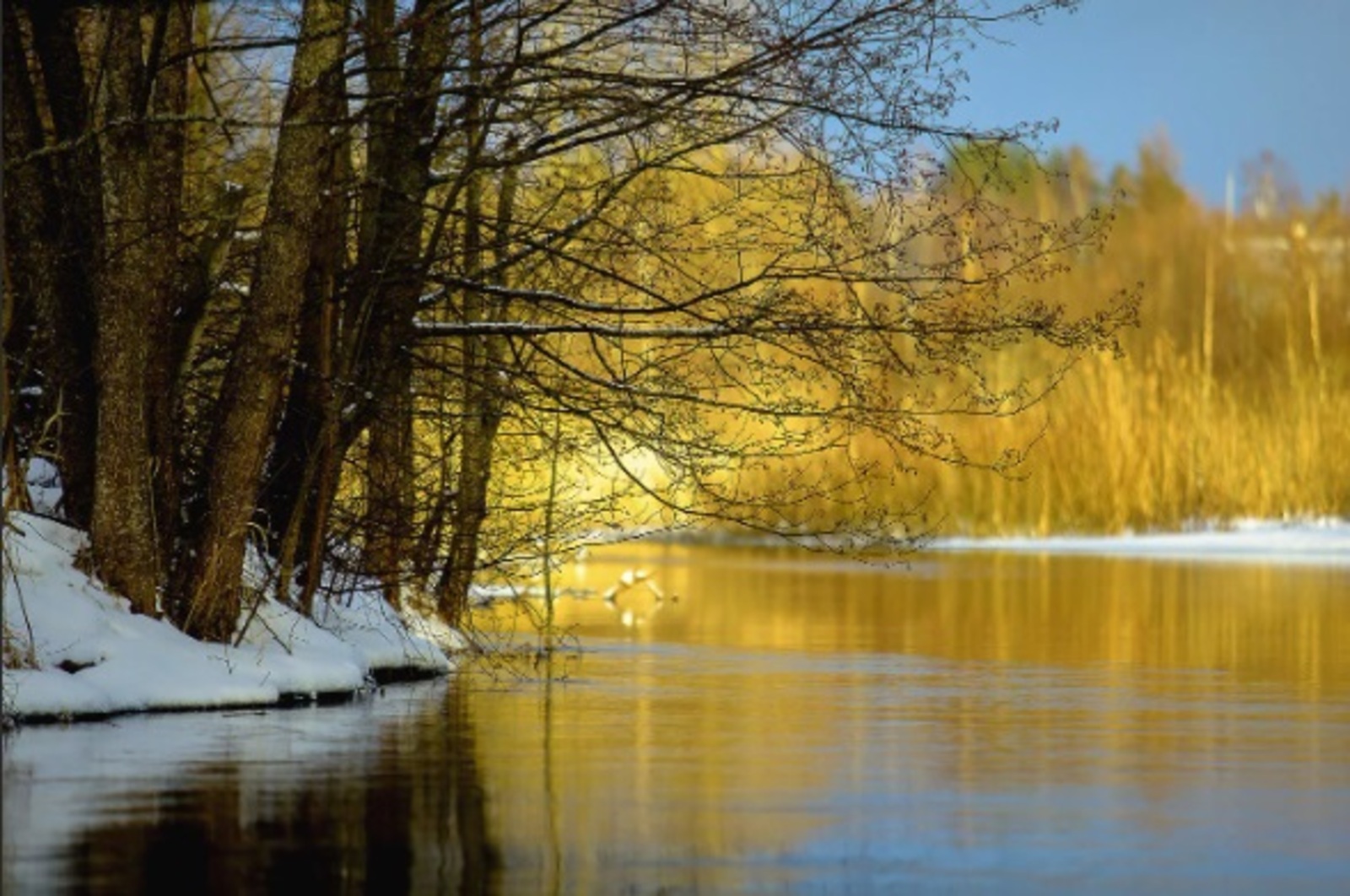 Ял көндәрендә Башҡортостанда +16° тиклем йылыта