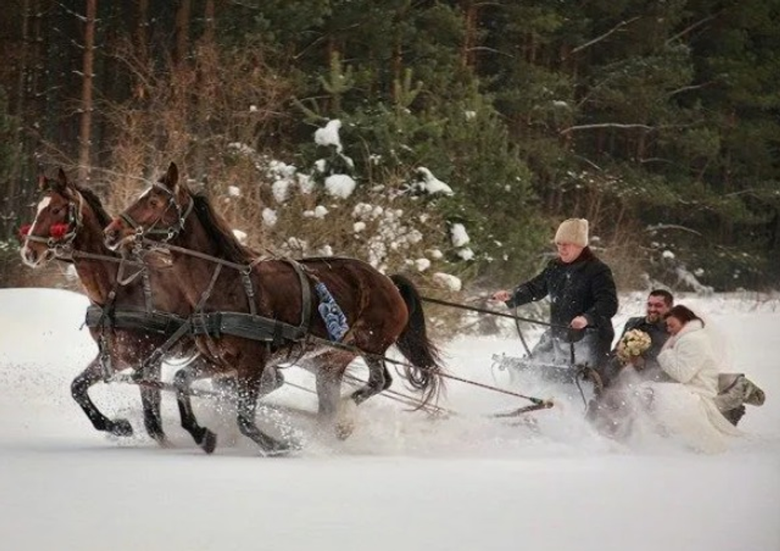 ИҢ ЯҠШЫ ТУЙ