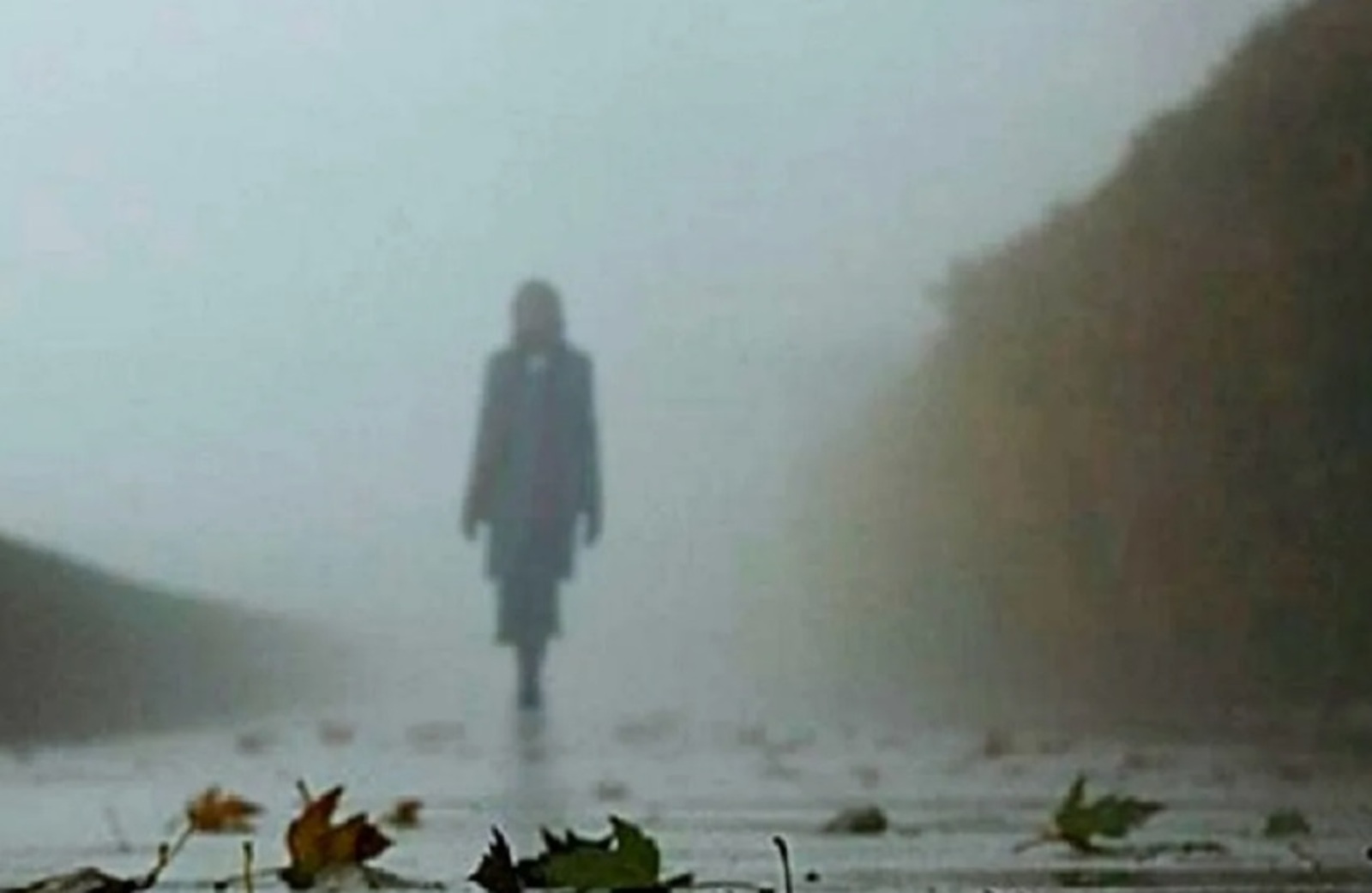 Сәйер донъя