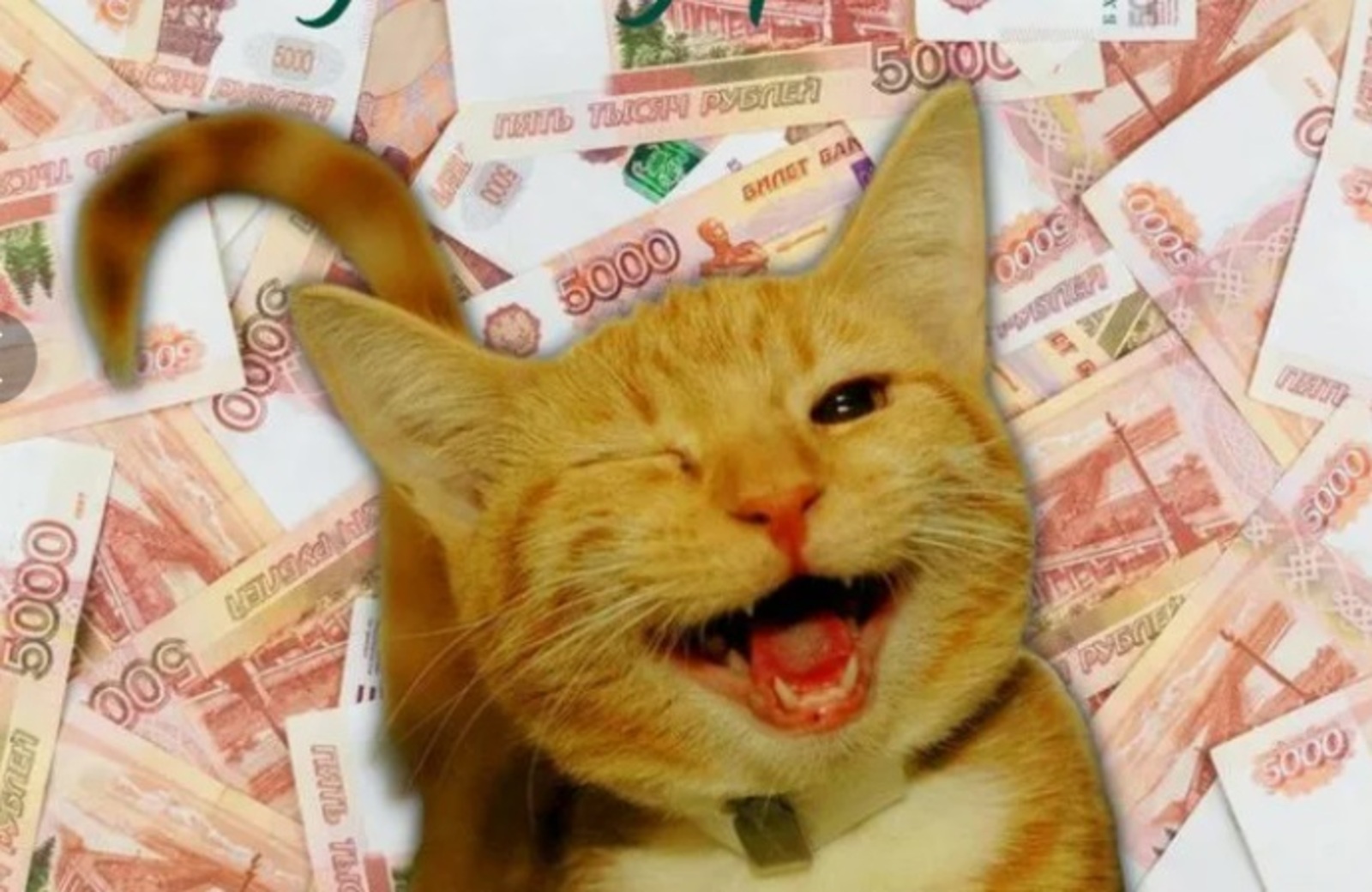 Миллионерҙы эҙләйҙәр