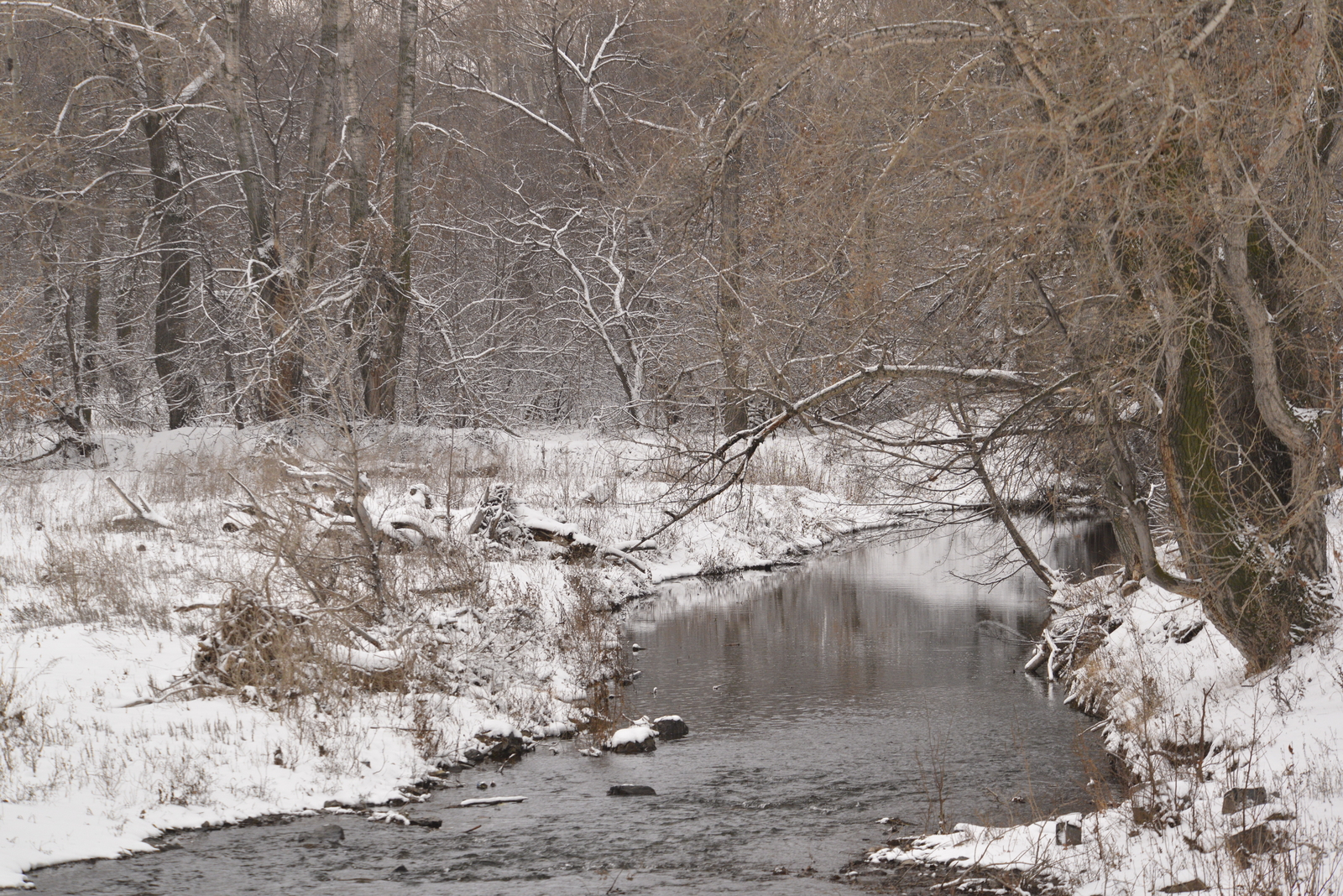 Һаҙлыҡ (хикәйә) Гөлнур ҠЫУАТОВА