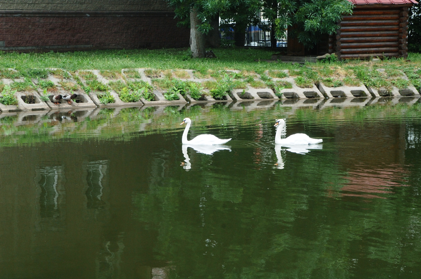 Әле лә һуң түгел бит...