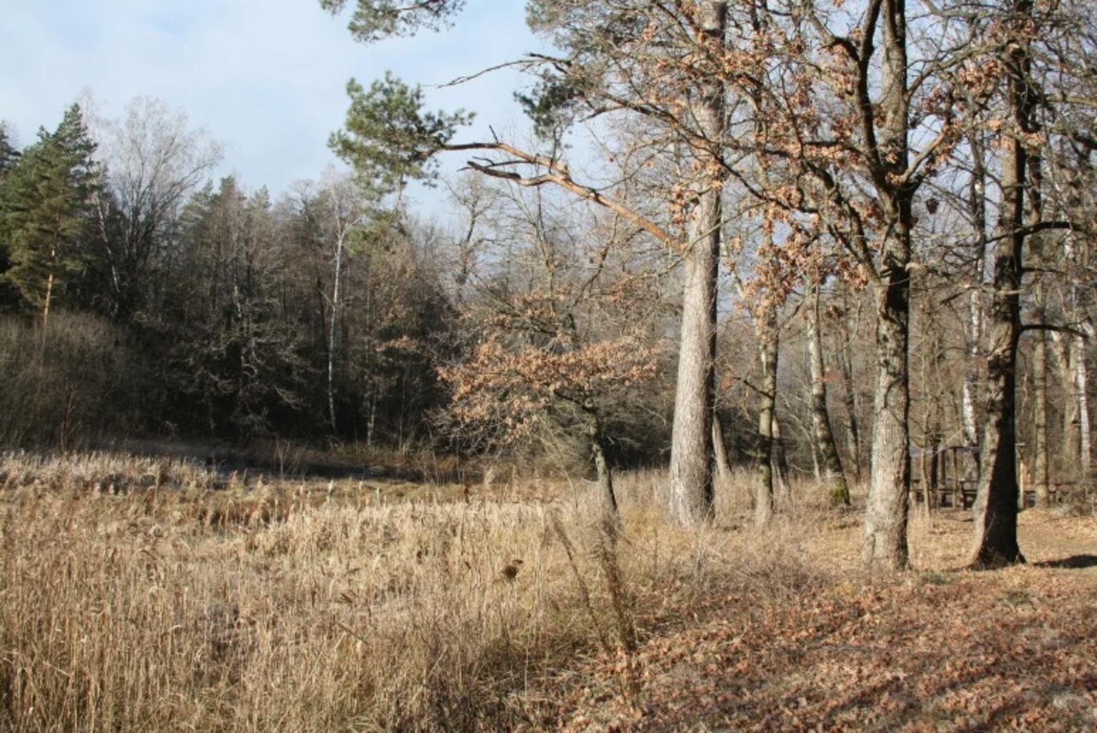 Айыу хаҡында хикәйә