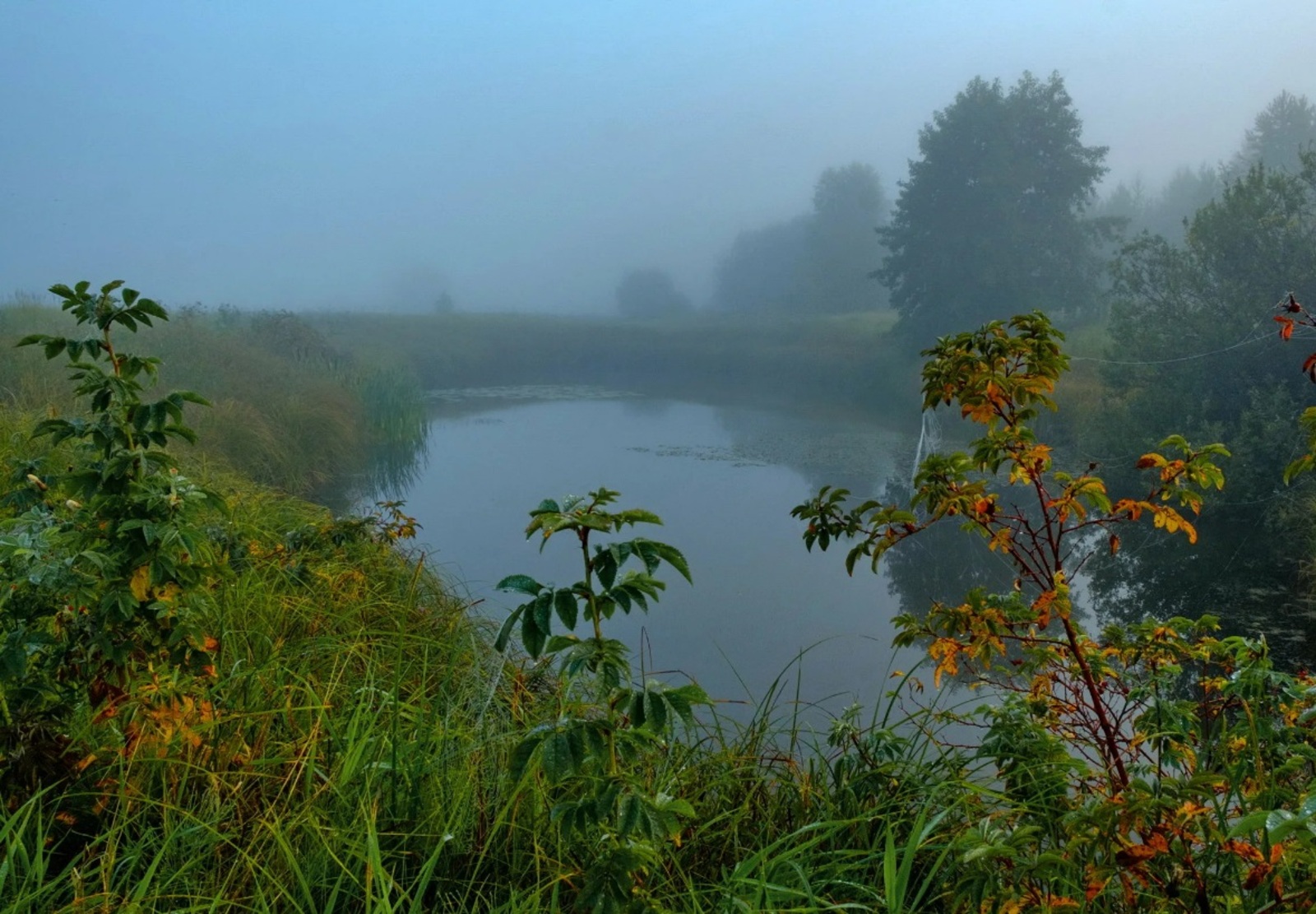 ВӘҒӘҘӘ ЙӨҘӨГӨ