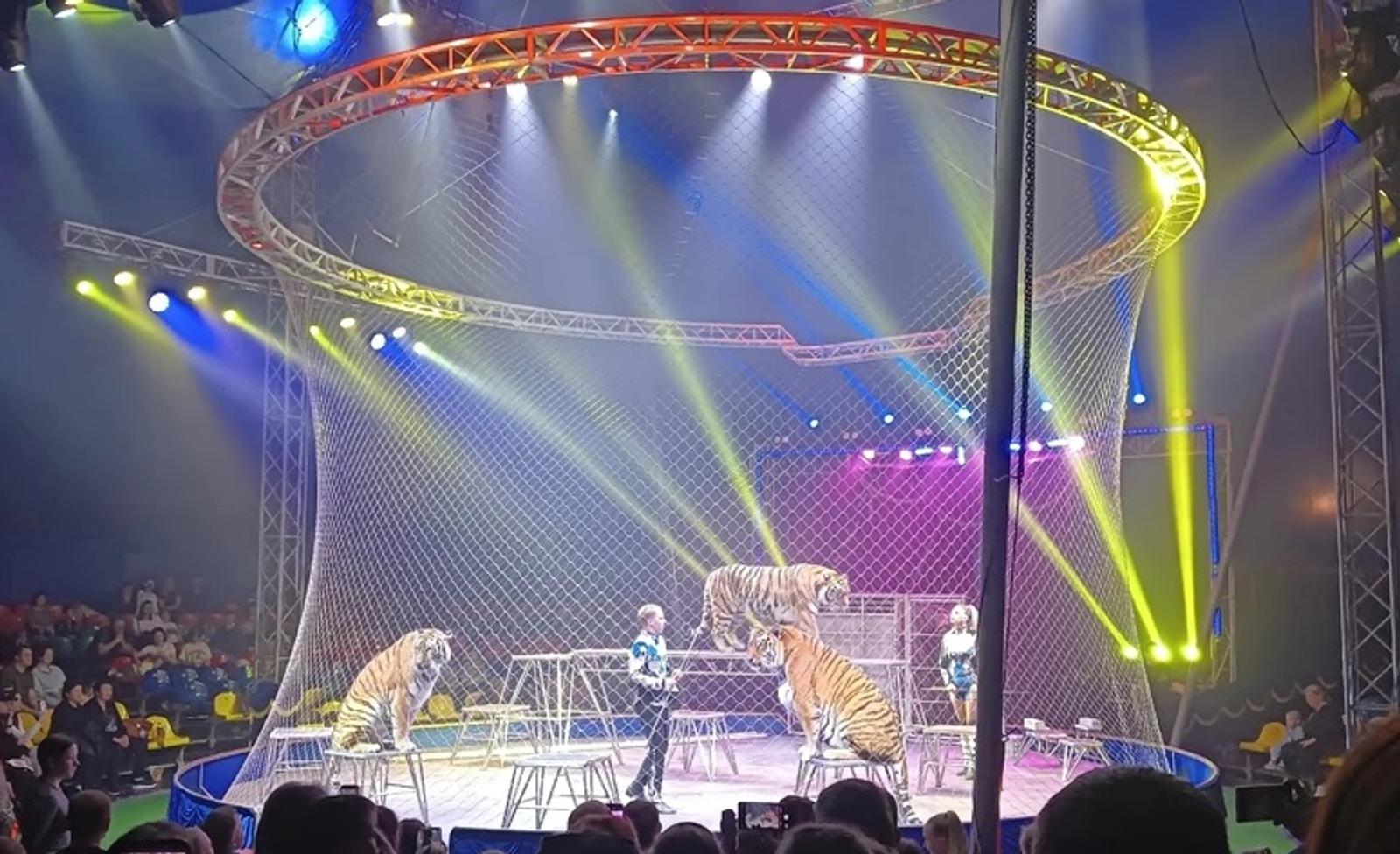 Юлбарыҫ тамаша залына һикергән