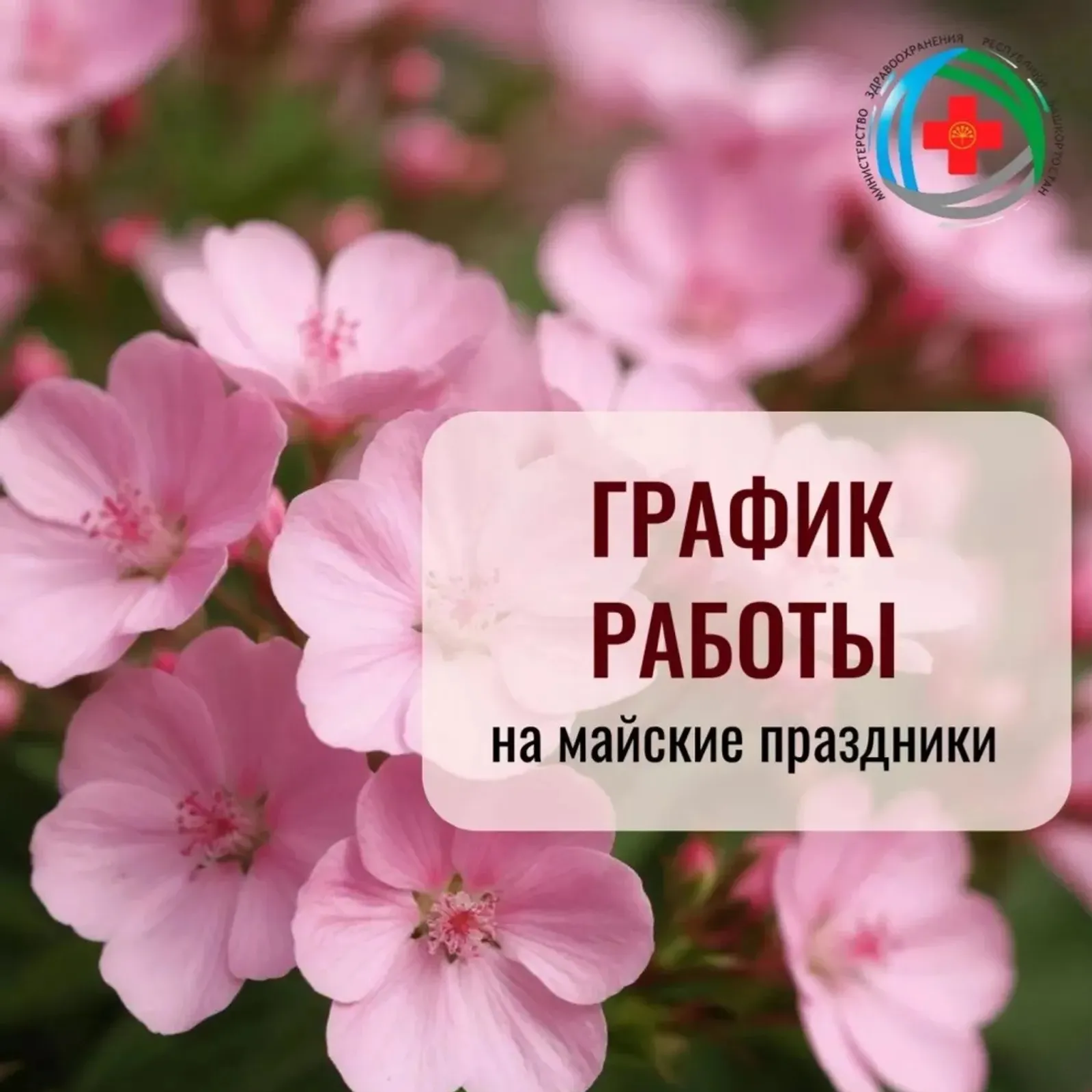 Май байрамдарында республика дауаханалары нисек эшләй