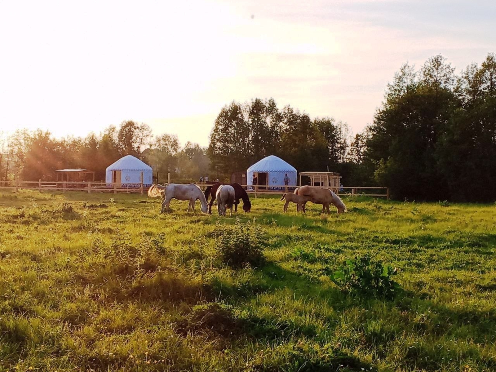 Бөтә кәләштәрем араһынан һине һайланым!