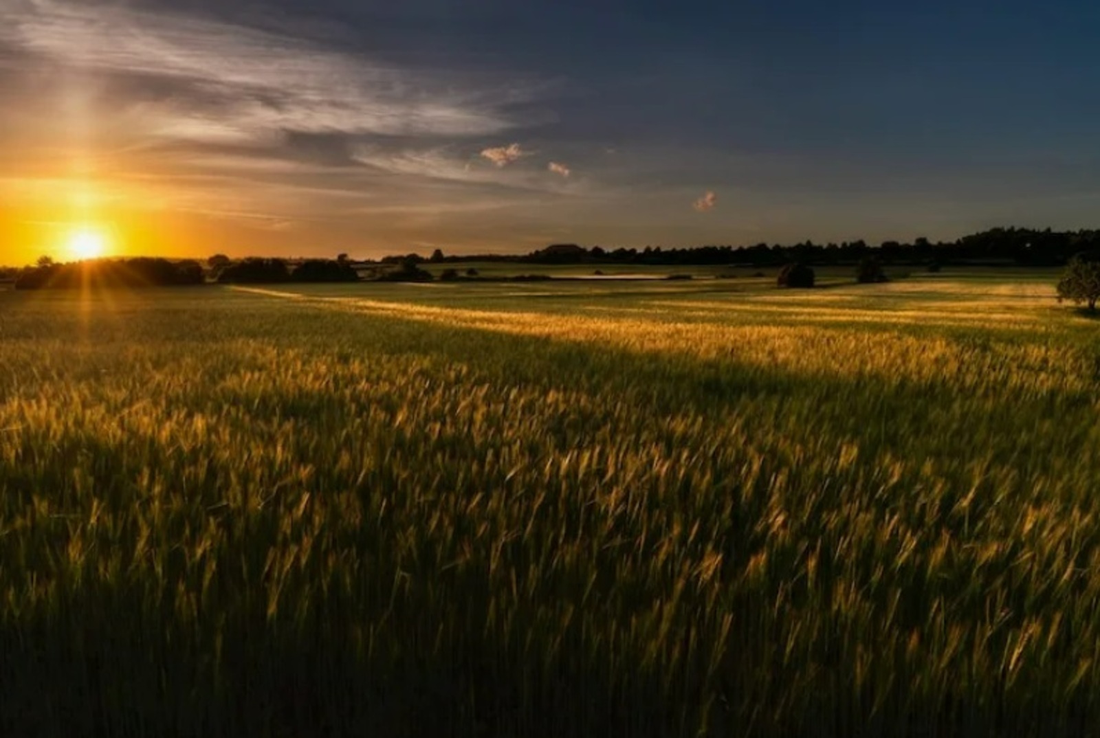 Хәмит КАРАМАЛИНСКИЙ ЕР БАШЫ