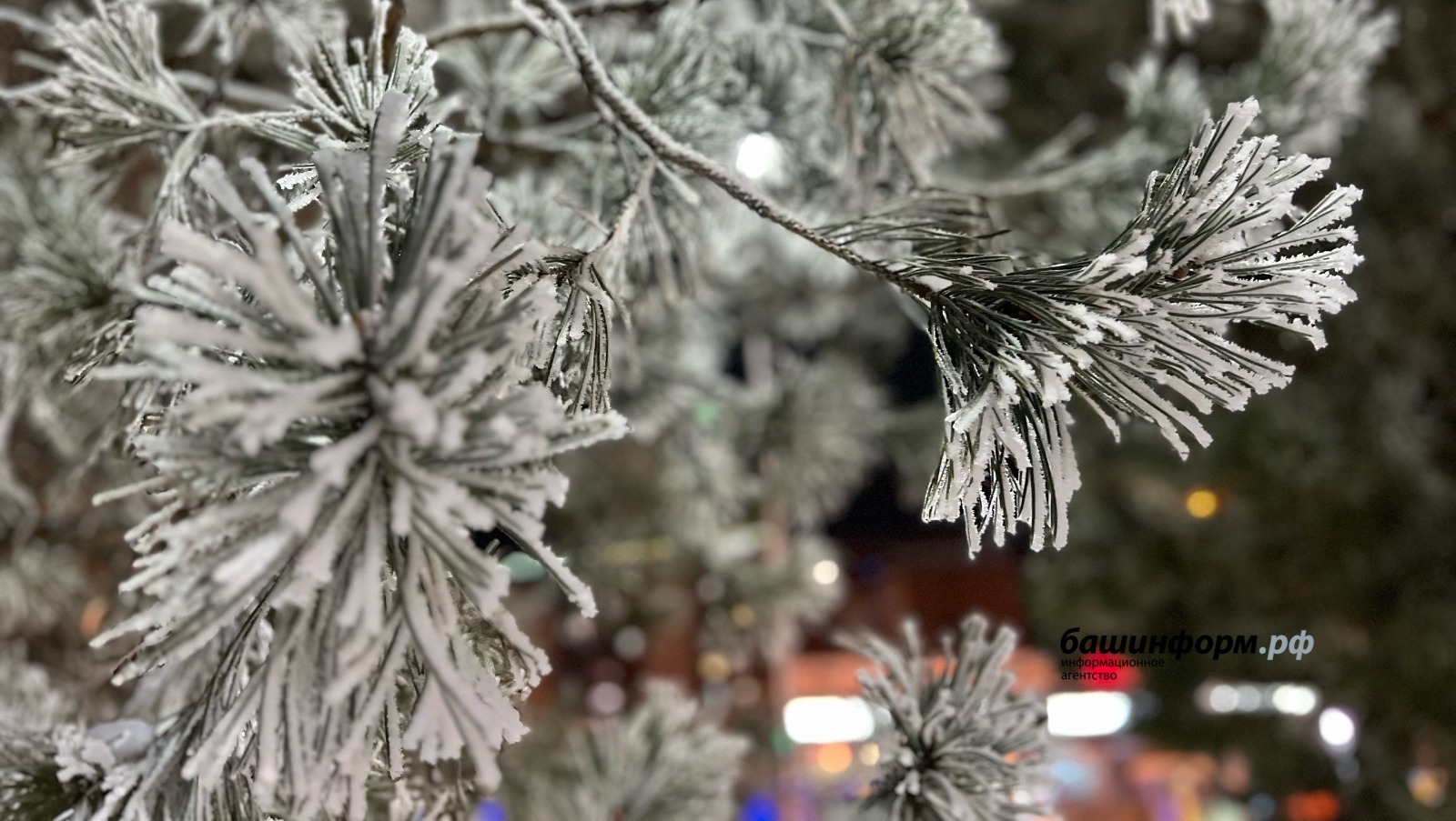 Йәнә һыуыта