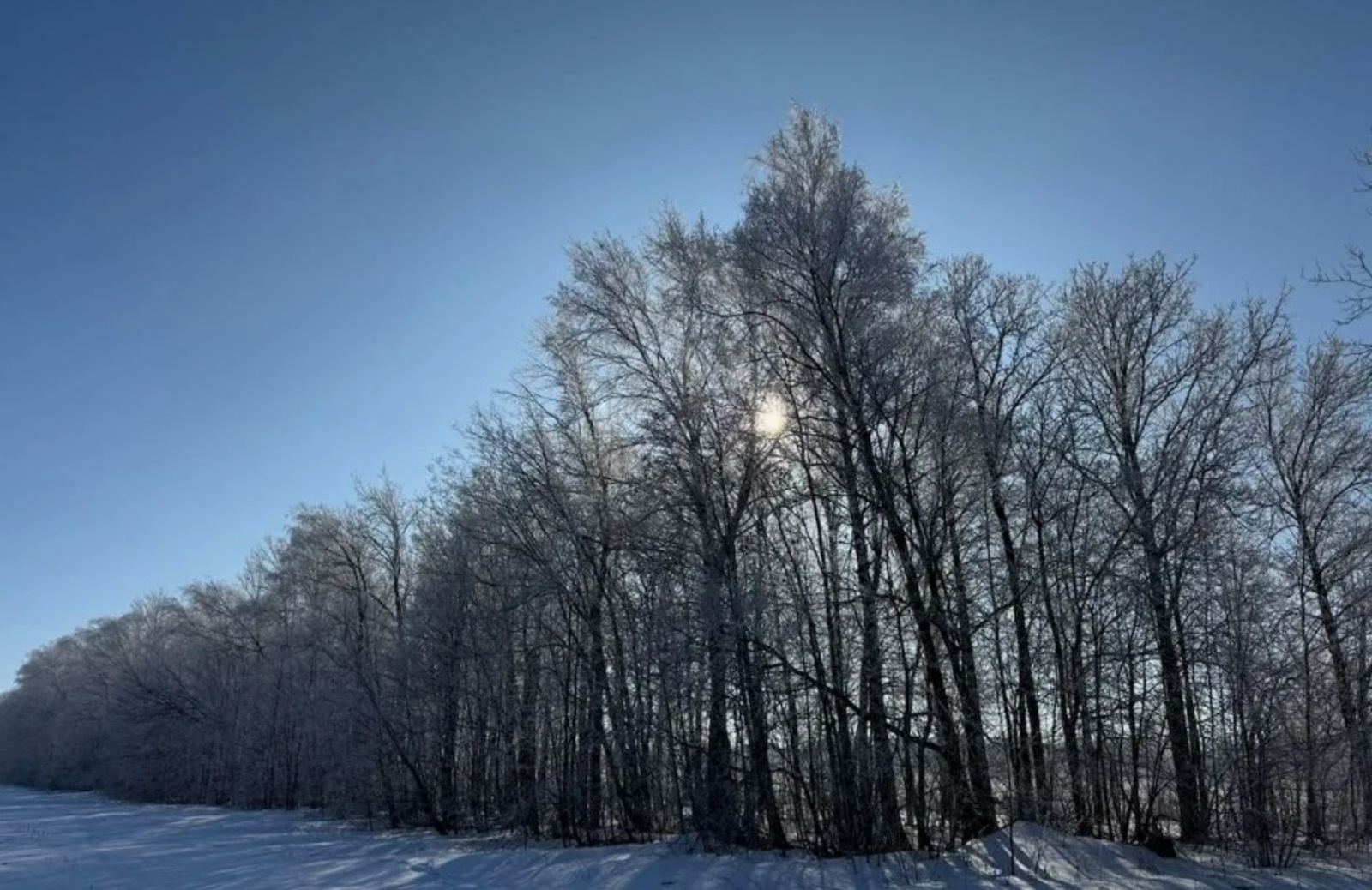 Яҙ иртә килерме?