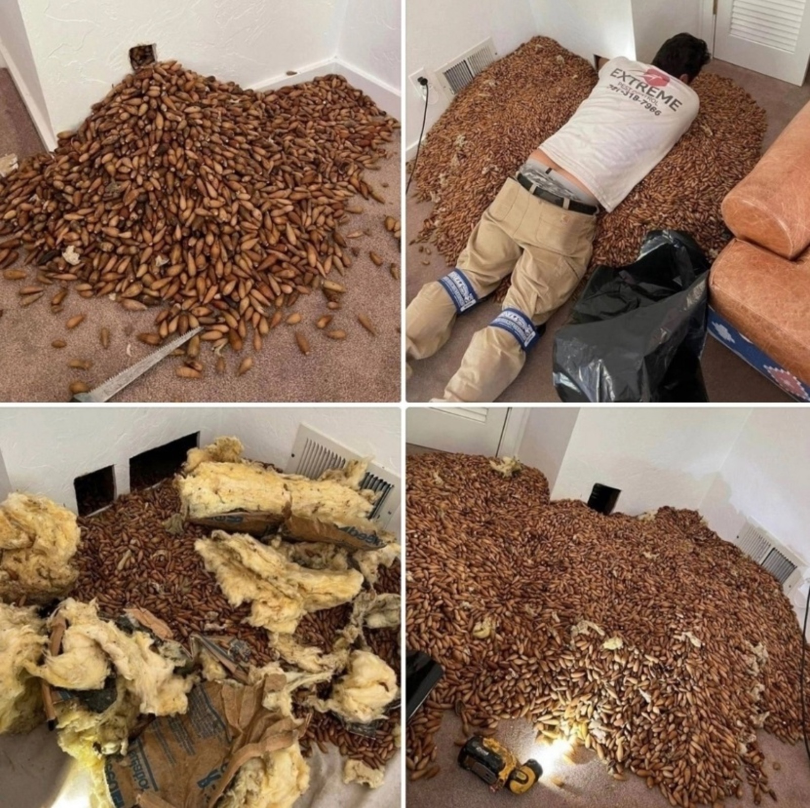 Стеналағы келәт