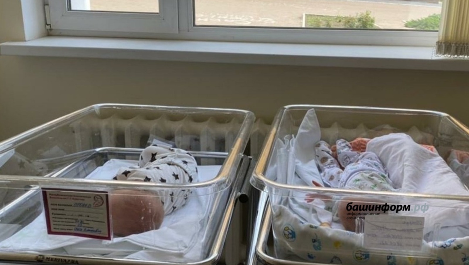 Ҡырмыҫҡалыла бер юлы ике пар игеҙәк тыуған