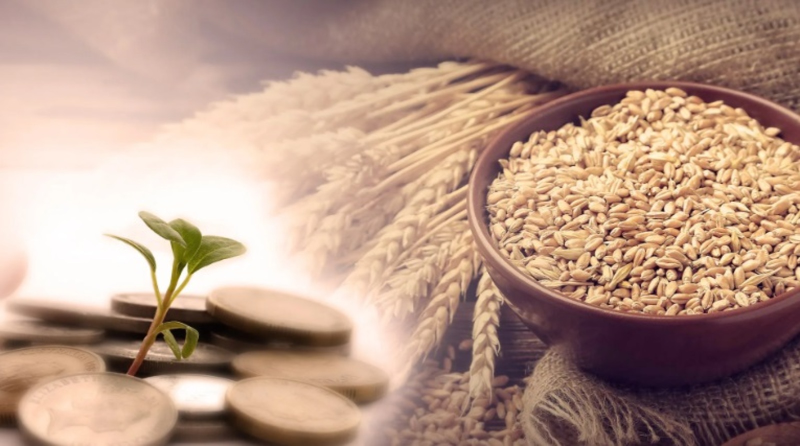 Фытыр, фидиә, зәкәт