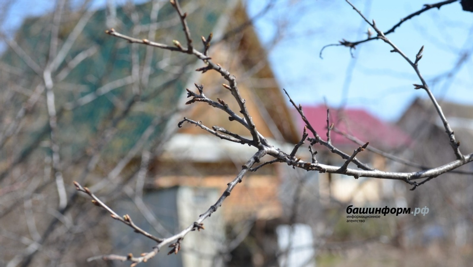 - 6 градусҡаса һалҡынайта