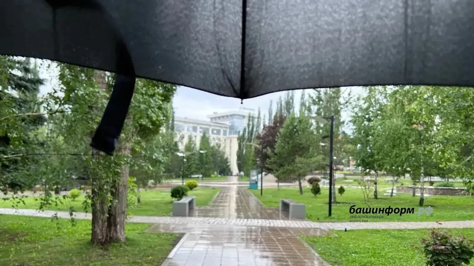 Ҡойма ямғыр, йәшен һәм боҙ-борсаҡ:...