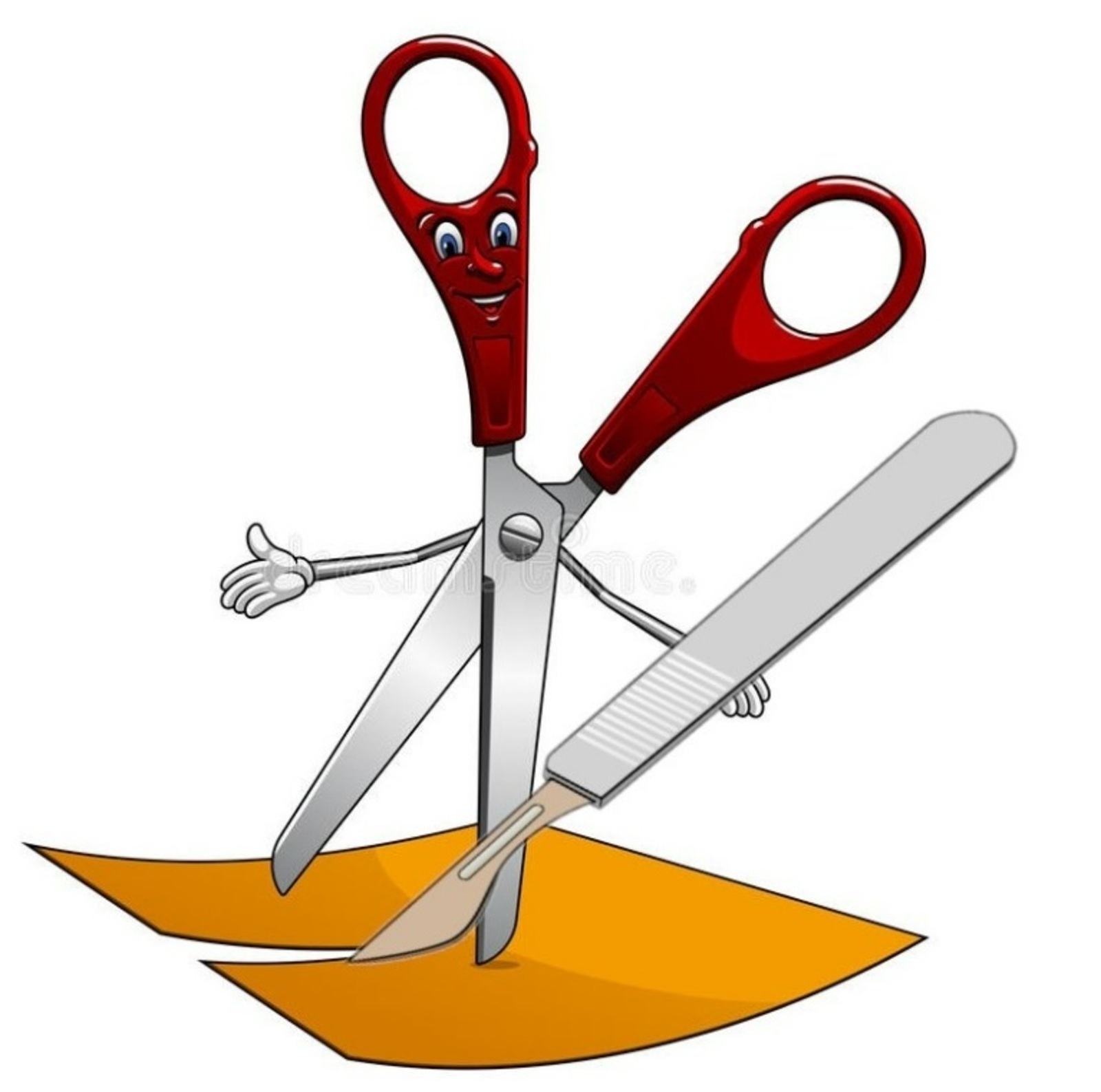 Ҡайсы ҡолағы