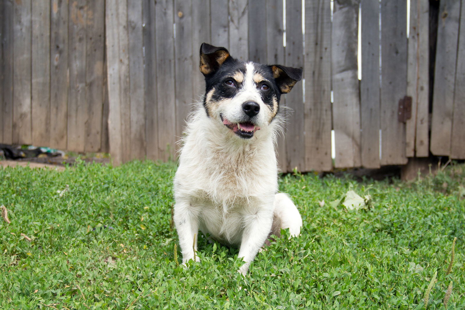 «Вәхиҙә, быйма!»