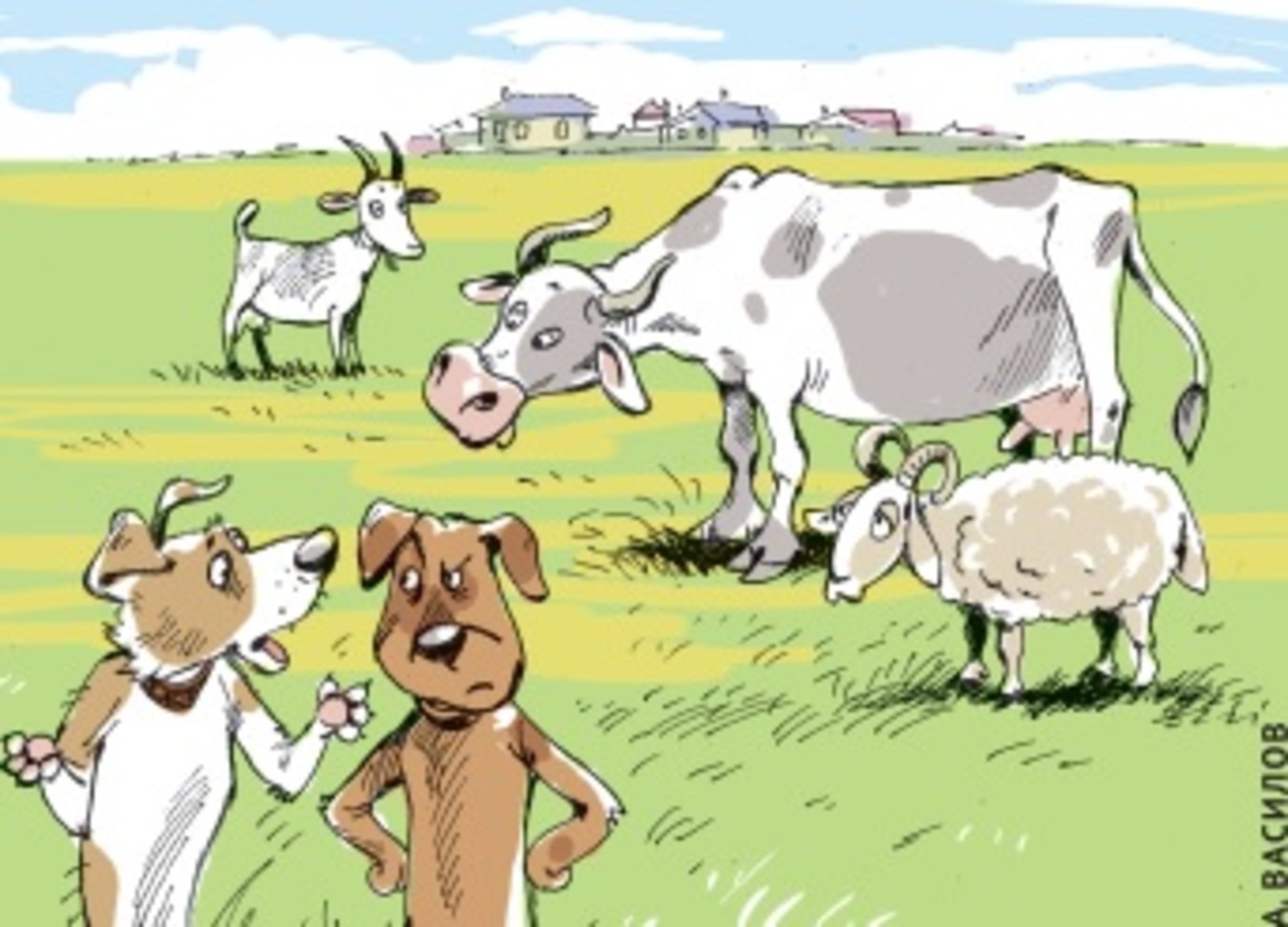 Көтөү таҡмаҡтары