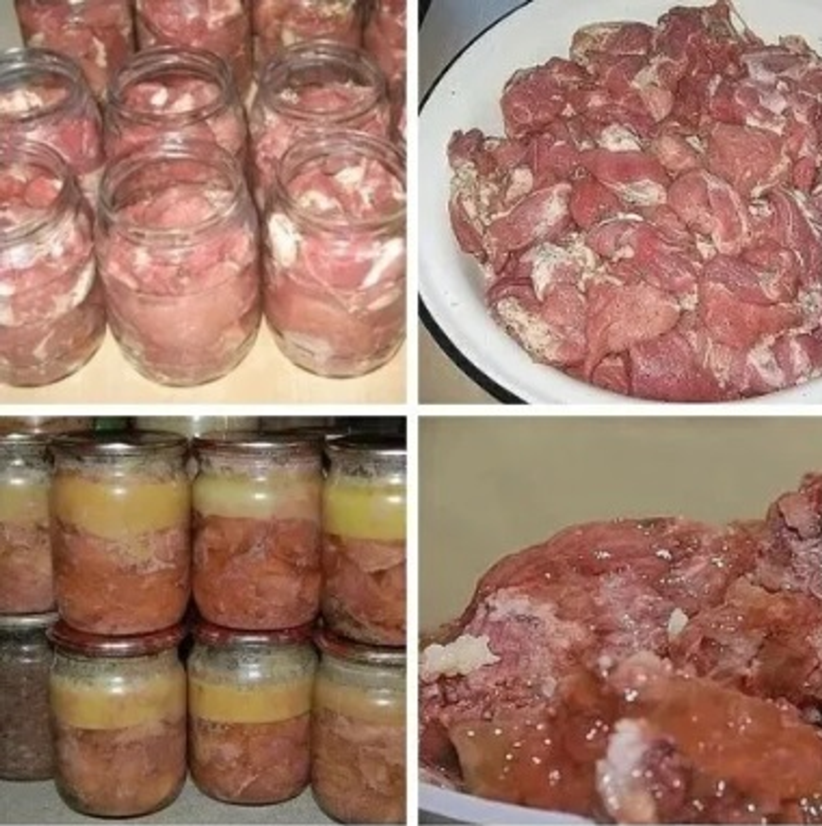 Быҡтырылған ит (тушенка)