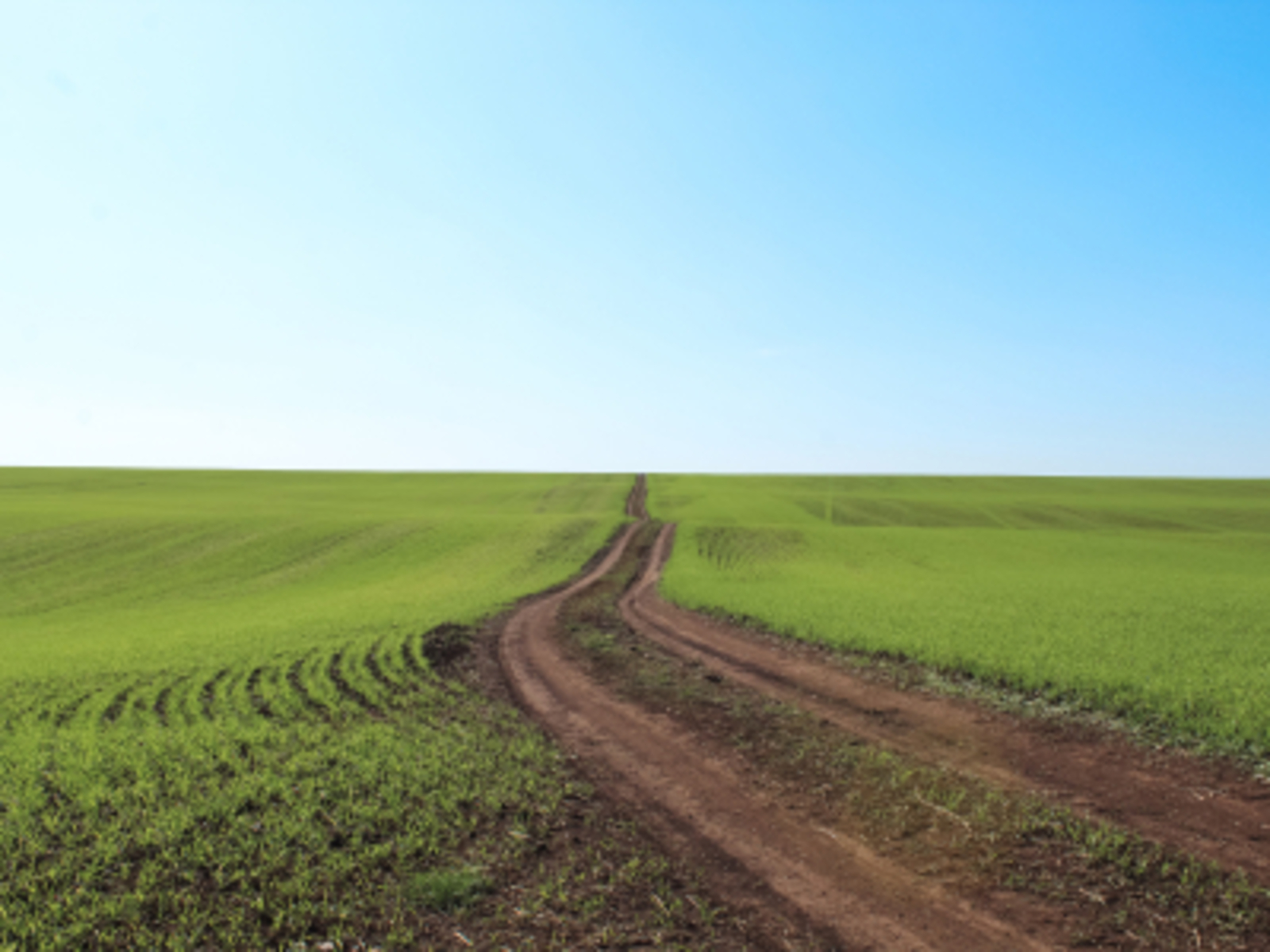 Өйрәнгән баш...