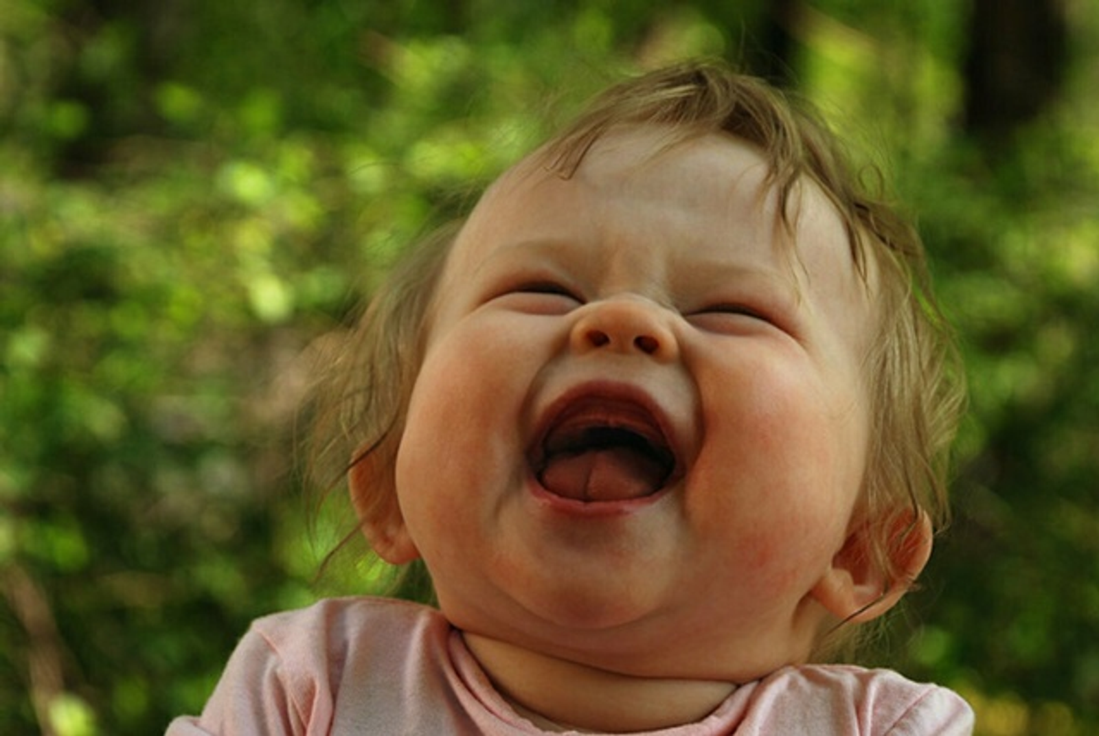 Көлгәнгә - көлкө