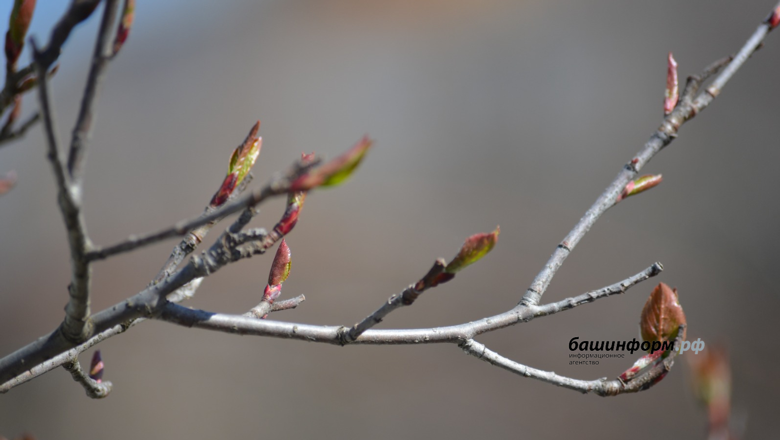 Ҡар ҡатыш ямғыр яуыуы һәм боҙлауыҡ булыуы көтөлә